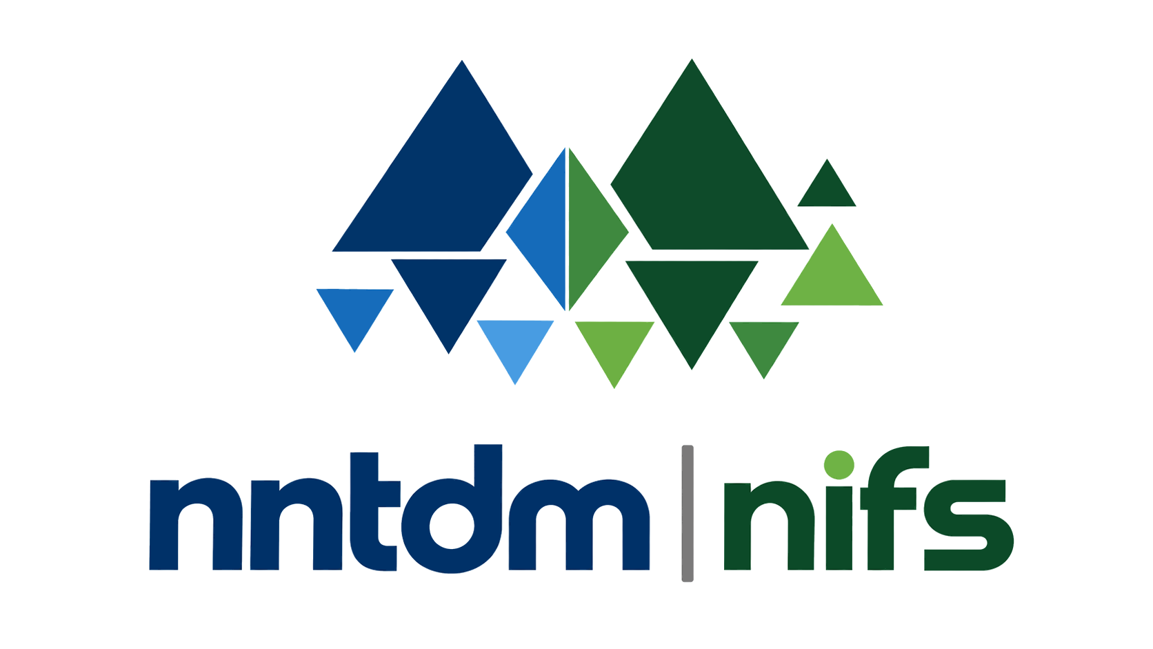 NNTDM and NIFS